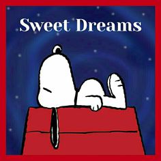 97 Best Snoopy Sleep ideas  snoopy charlie brown and snoopy snoopy love