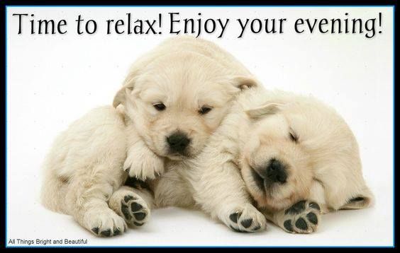 Pin by nzwaki on Body shop at home  Good evening greetings Evening  pictures Good evening messages