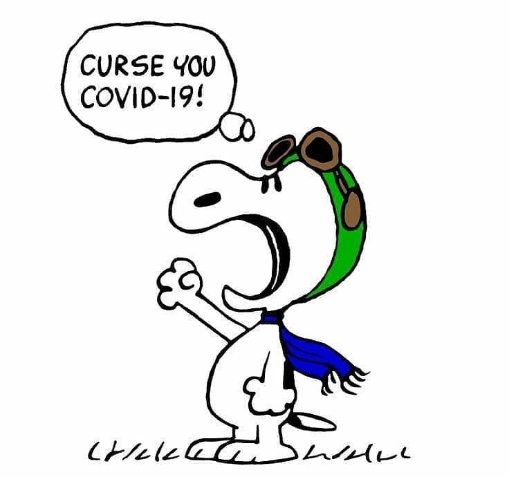 Cool Snoopy Daily on Instagram Stay safe - - Please Follow me   coolsnoopydaily coolsnoopydaily coolsnoopyda  Snoopy quotes Snoopy  images Snoopy funny