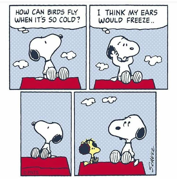 Pin by Jo Parmer on snoopy and the gang 4   Snoopy comics Snoopy  cartoon Snoopy pictures