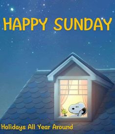 220 Happy Sunday ideas in 2022  happy sunday charlie brown and snoopy  snoopy love
