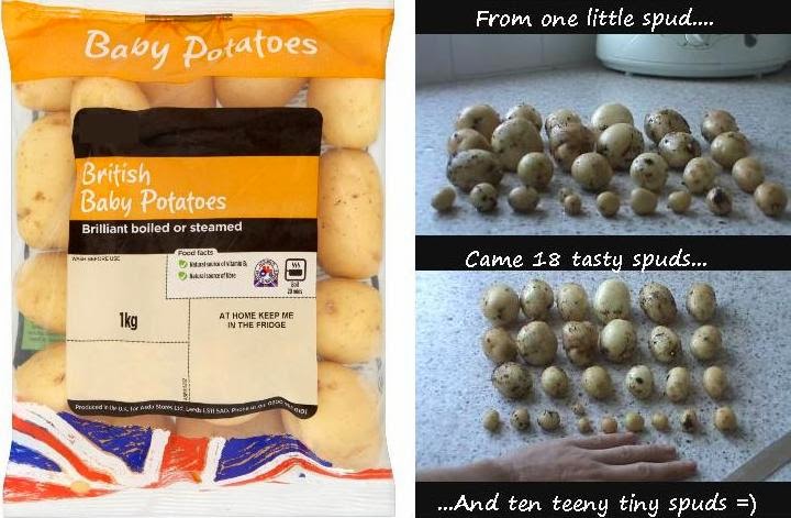 http://3.bp.blogspot.com/-azGDf4Rt6yE/UyLr6HvFfhI/AAAAAAAAD4M/WQOYtMUq44Y/s1600/spuds.jpg