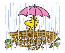 Snoopy Woodstock GIFs  Tenor