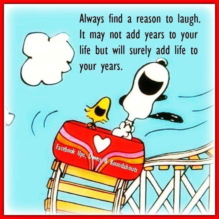 Pinterest  Snoopy quotes Snoopy funny Snoopy