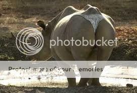 http://i1143.photobucket.com/albums/n627/thedogcody/imagesqtbnANd9GcQmsBUU2W0Rcn5VNjEyf_zps1deb0ad6.jpg