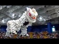 110 Best chinese lion dance ideas  chinese lion dance lion dance lion