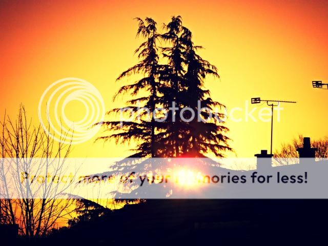 http://i27.photobucket.com/albums/c186/DavidKnapper/9e59105b-fcba-4aec-9932-f4e1ba7a7a29_zps5jxo7qtd.jpg