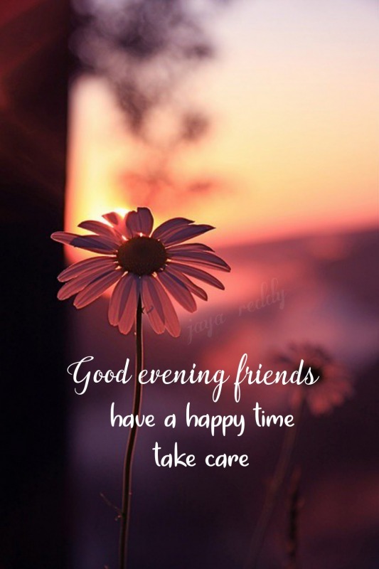 810 Good Evening Pictures Images Photos