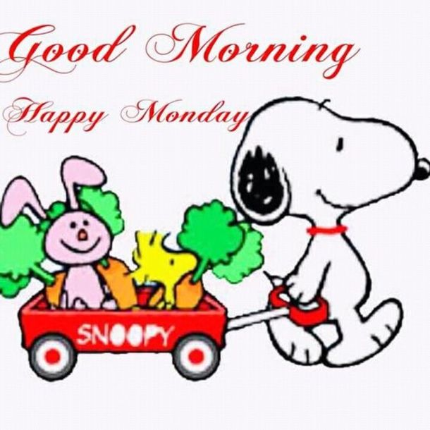 10 Very Special Good Morning Monday Quotes  Snoopy quotes Good morning  snoopy Goodnight snoopy