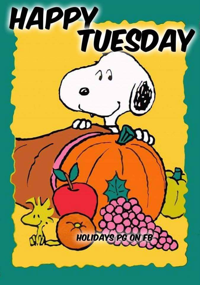 Happy Tuesday  Snoopy Snoopy pictures Snoopy and woodstock