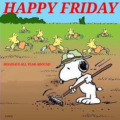 380 Happy Friday ideas in 2024  happy friday snoopy friday snoopy love