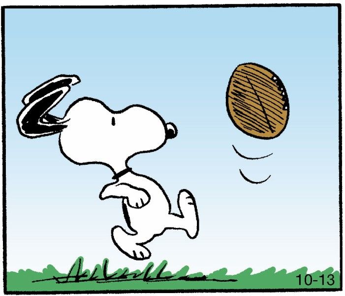 Pin on Charles M Schulz - Sports