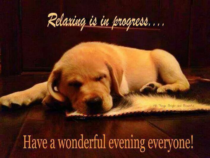 Have A Wonderful Evening Quotes QuotesGram