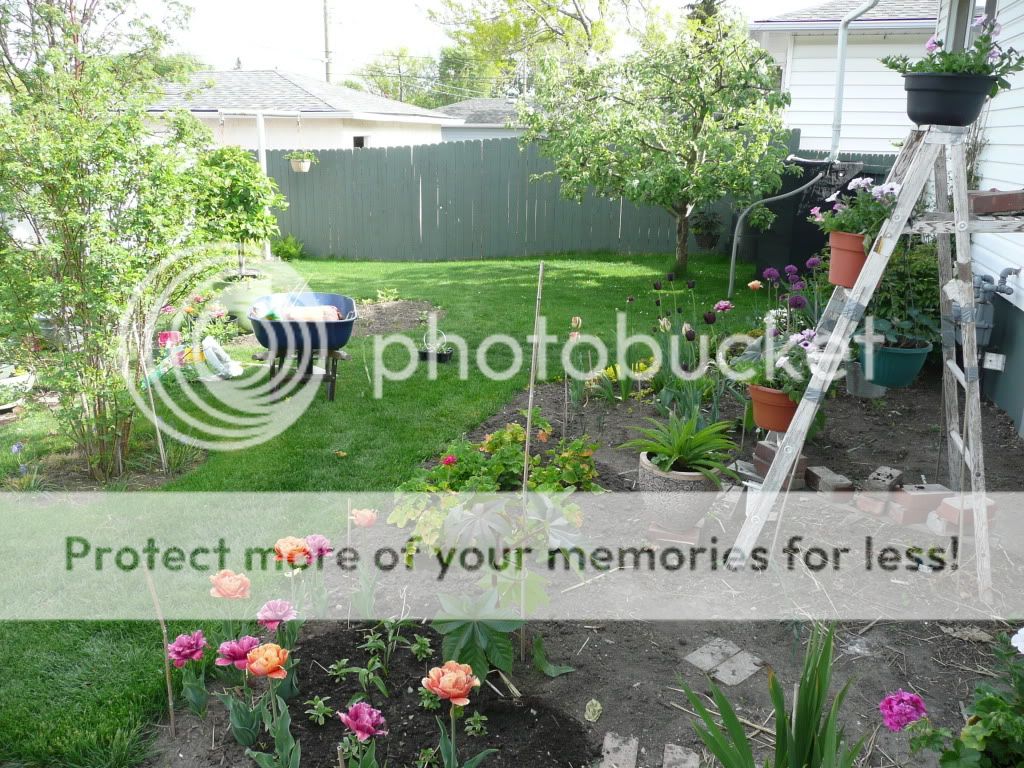 http://i899.photobucket.com/albums/ac192/JohnCm_bucket/005-6.jpg