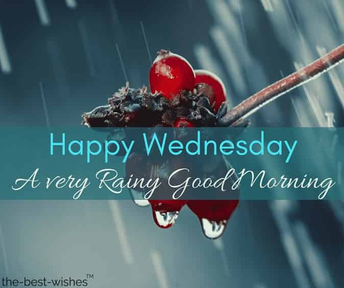 Image result for Rainy wednesday morning