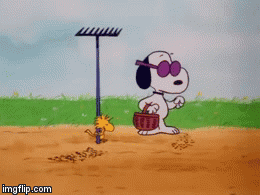 Woodstock and snoopy planting seeds - Imgflip