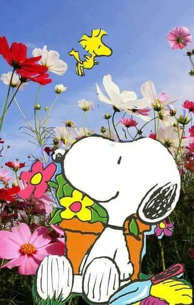 Snoopy makes me smile  Snoopy wallpaper Snoopy pictures Snoopy