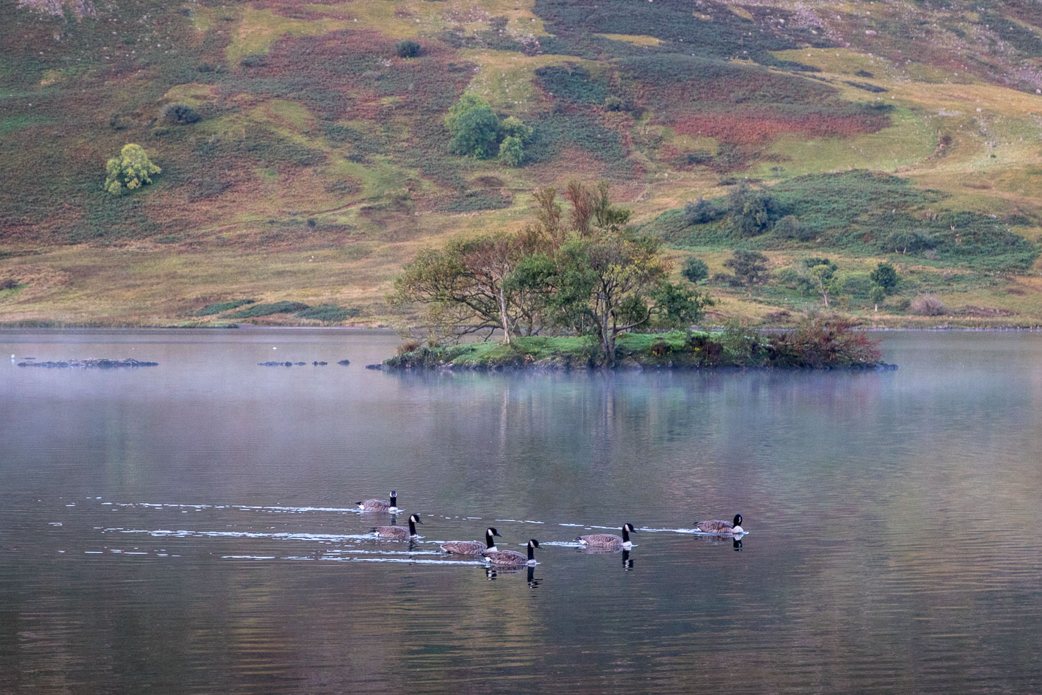 Image result for dawn of a new day in the LAke District  images