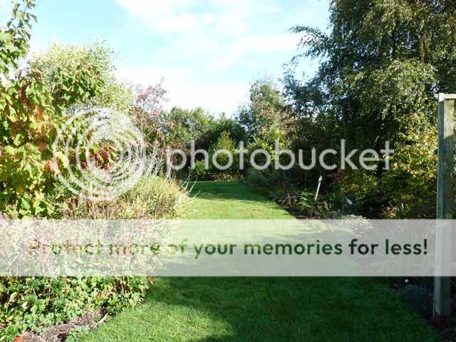 http://i703.photobucket.com/albums/ww32/Owdboggy/October%202013/Ocotber2013miscellany019.jpg