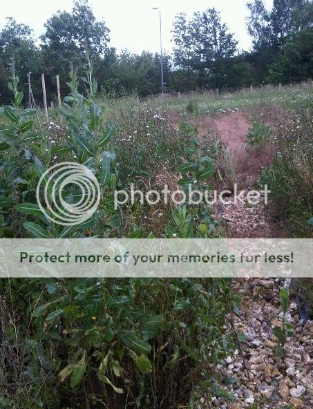 http://i1048.photobucket.com/albums/s373/leggi2/image.jpg