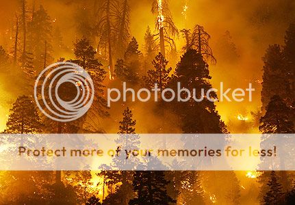 http://i1143.photobucket.com/albums/n627/thedogcody/forestfire.jpg