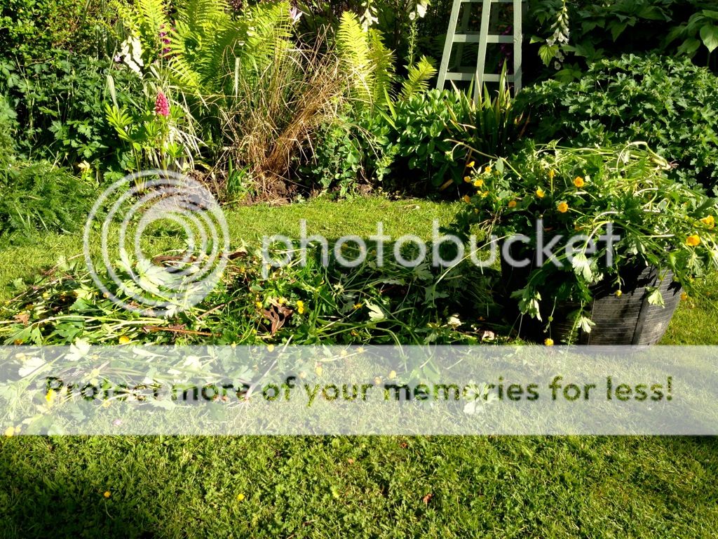 http://i232.photobucket.com/albums/ee192/thebear843/Garden/file_zps5546509a.jpg