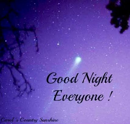 Good night everyone via Carols Country Sunshine on Facebook  Good night  greetings Good night blessings Good night