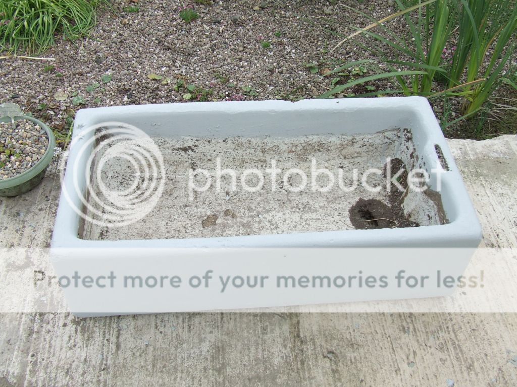 http://i703.photobucket.com/albums/ww32/Owdboggy/Sink%20garden/SouthportMay08etc019.jpg