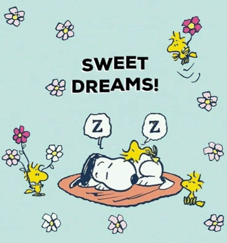 900 Goodnight ideas  good night sweet dreams good night good night  wishes