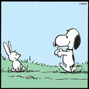 Pin by Monita Molina on Snoopy  Snoopy funny Snoopy easter Snoopy  pictures