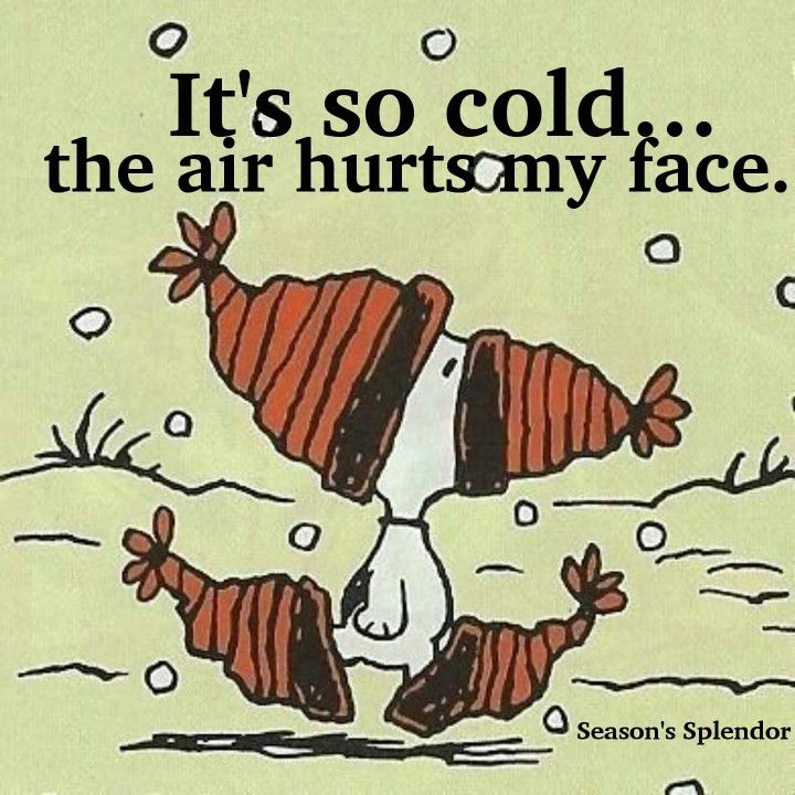 Pin by debbie ayres on Peanuts  Snoopy cartoon Snoopy funny Snoopy quotes