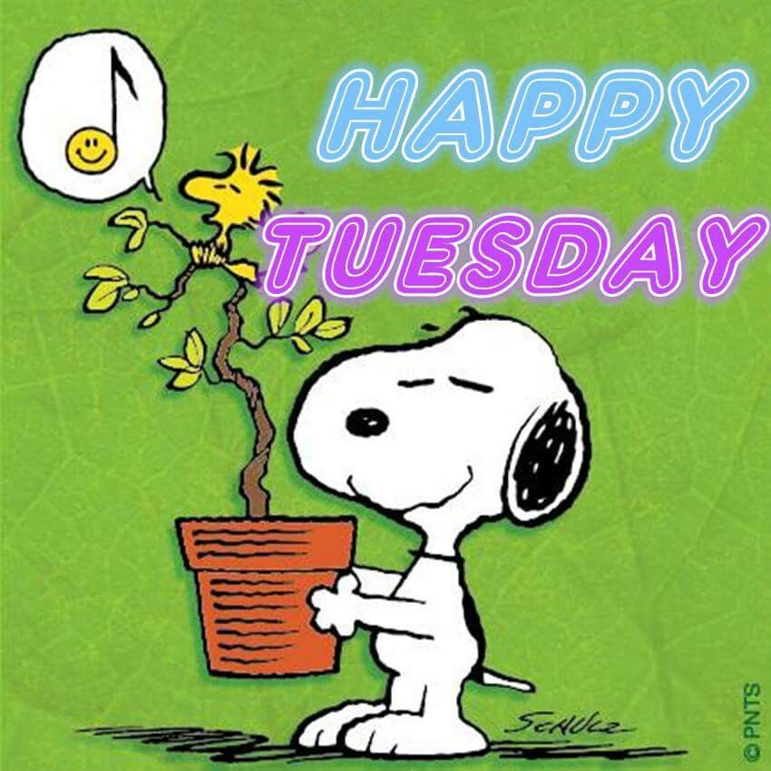 Snoopy Tuesday with Woodstock  Happy tuesday pictures Happy tuesday  quotes Snoopy quotes