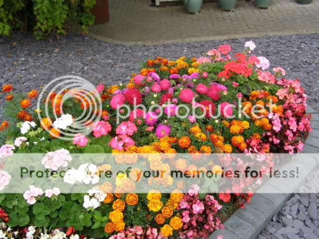 http://i27.photobucket.com/albums/c186/DavidKnapper/001-7.jpg