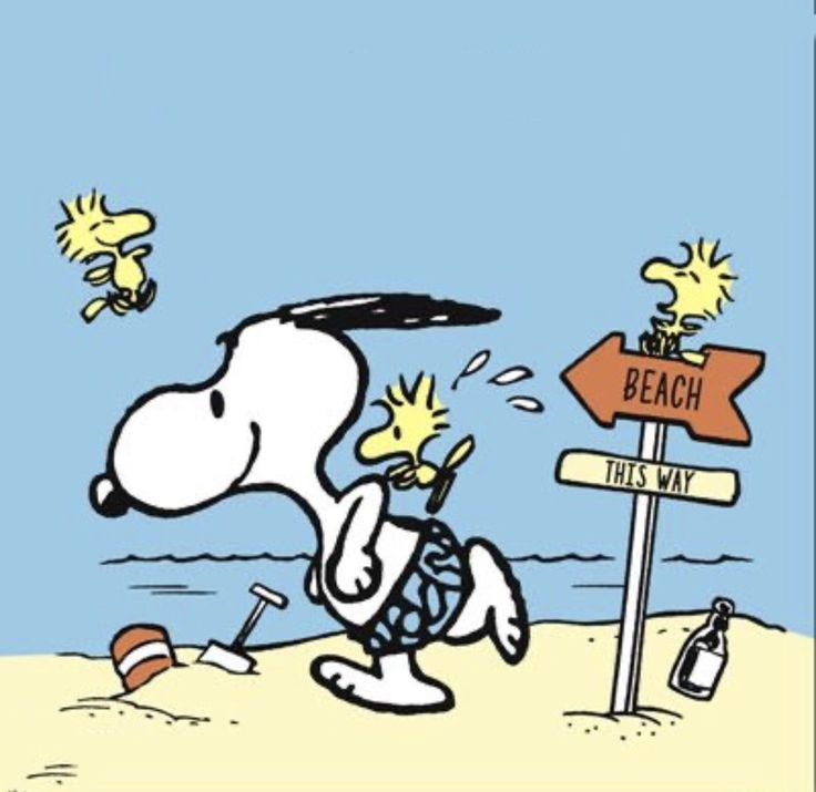 Sometimes you just need a beach day  Snoopy pictures Peanuts charlie  brown snoopy Snoopy and woodstock