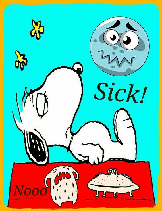 Been sick for over a week with a cold Feeling better now Back to work  next week in 2022  Snoopy pictures Snoopy love Snoopy cartoon