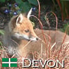 Wildlife friendly