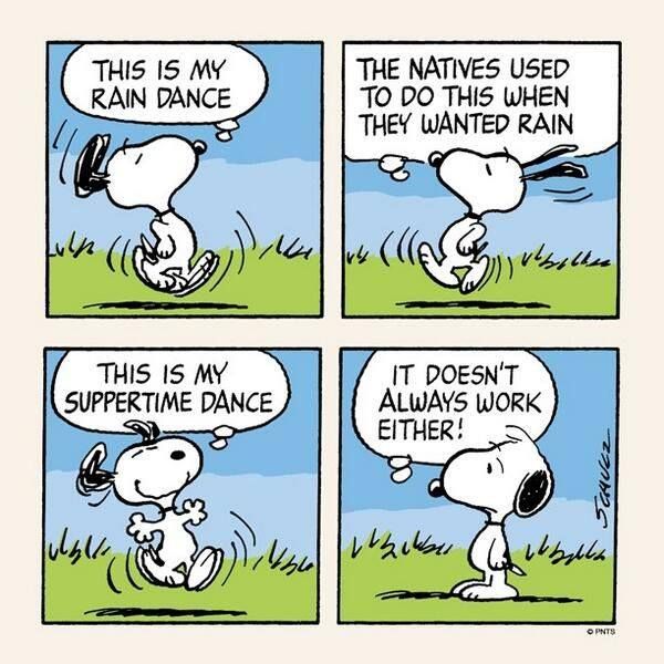 Lol Snoopy Rain Dance  Snoopy dance Snoopy funny Snoopy comics