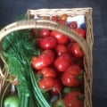 Allotment Boy
