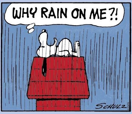 Rainy days and Mondays always get me down  Snoopy quotes  Snoopy love Snoopy