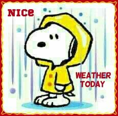 Pin by Traci Kronk on SNOOPY  Snoopy funny Snoopy pictures Snoopy drawing