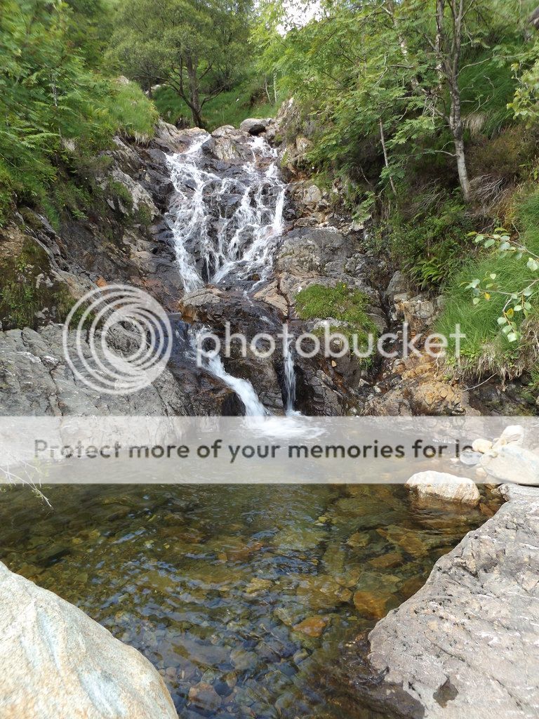 http://i1331.photobucket.com/albums/w595/fairygirl55/DSCF0102_zps4yoal4at.jpg