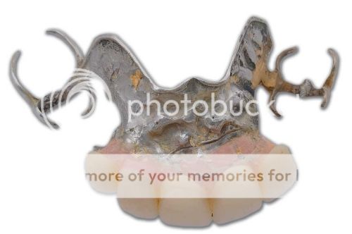 http://i1143.photobucket.com/albums/n627/thedogcody/preview_28_55413.jpg