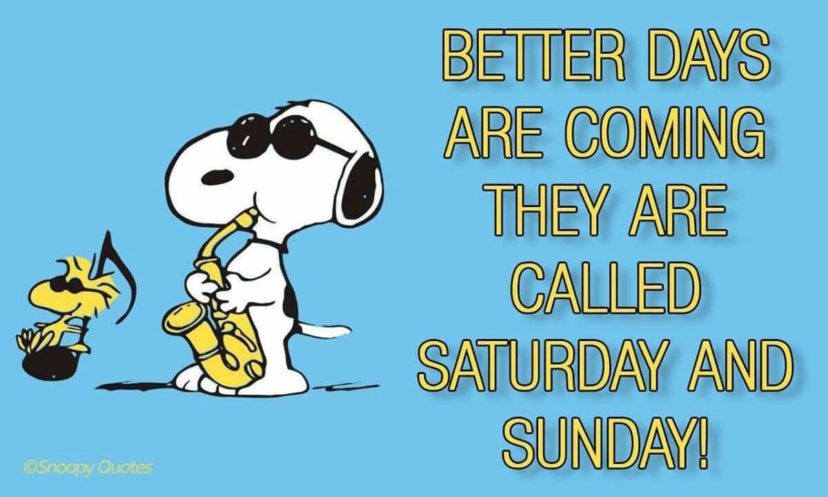 Pin by Liz Beans on SNOOPY One of my favorite things  Snoopy quotes  Snoopy and woodstock Better days are coming