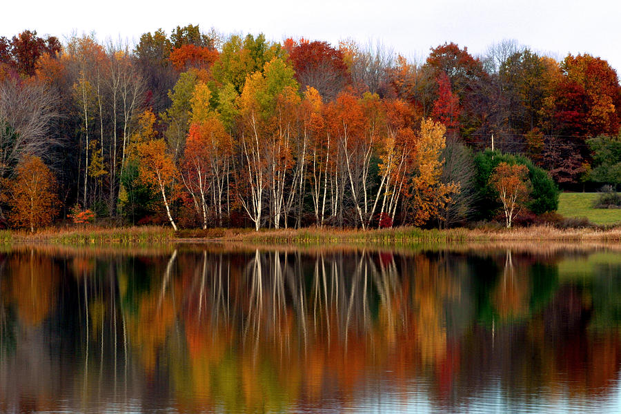 Image result for Autumn evening images