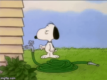 Snoopy and the gaint water hoselisa  Snoopy dance Snoopy funny Snoopy