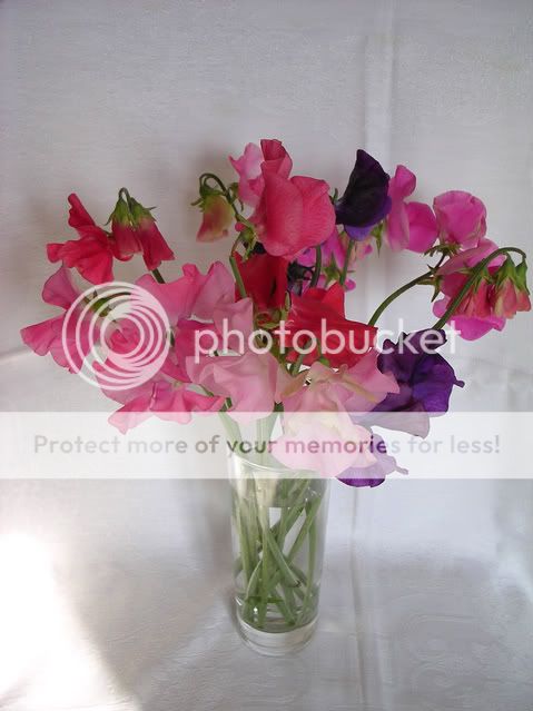 http://i27.photobucket.com/albums/c186/DavidKnapper/DSCN0669-1.jpg