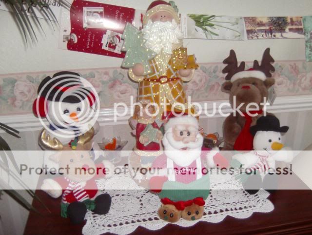 http://i50.photobucket.com/albums/f350/streptocarpus/christmas2008005.jpg