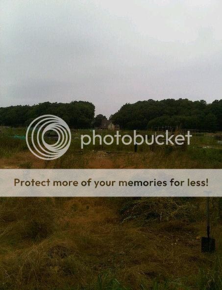 http://i1048.photobucket.com/albums/s373/leggi2/image-1.jpg