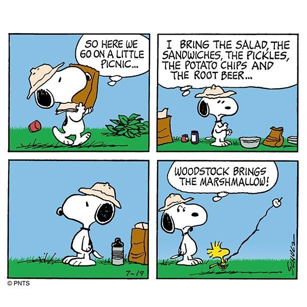 Picnic buddies  Snoopy cartoon Snoopy comics Snoopy funny