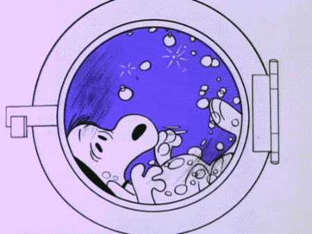 How to Wash Stuffed Animals  Snoopy love Snoopy Snoopy pictures